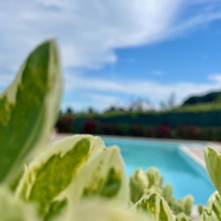 Vigneto - Italian Restaurant & B&B Villa Rosa Di Martinsicuro Esterno foto