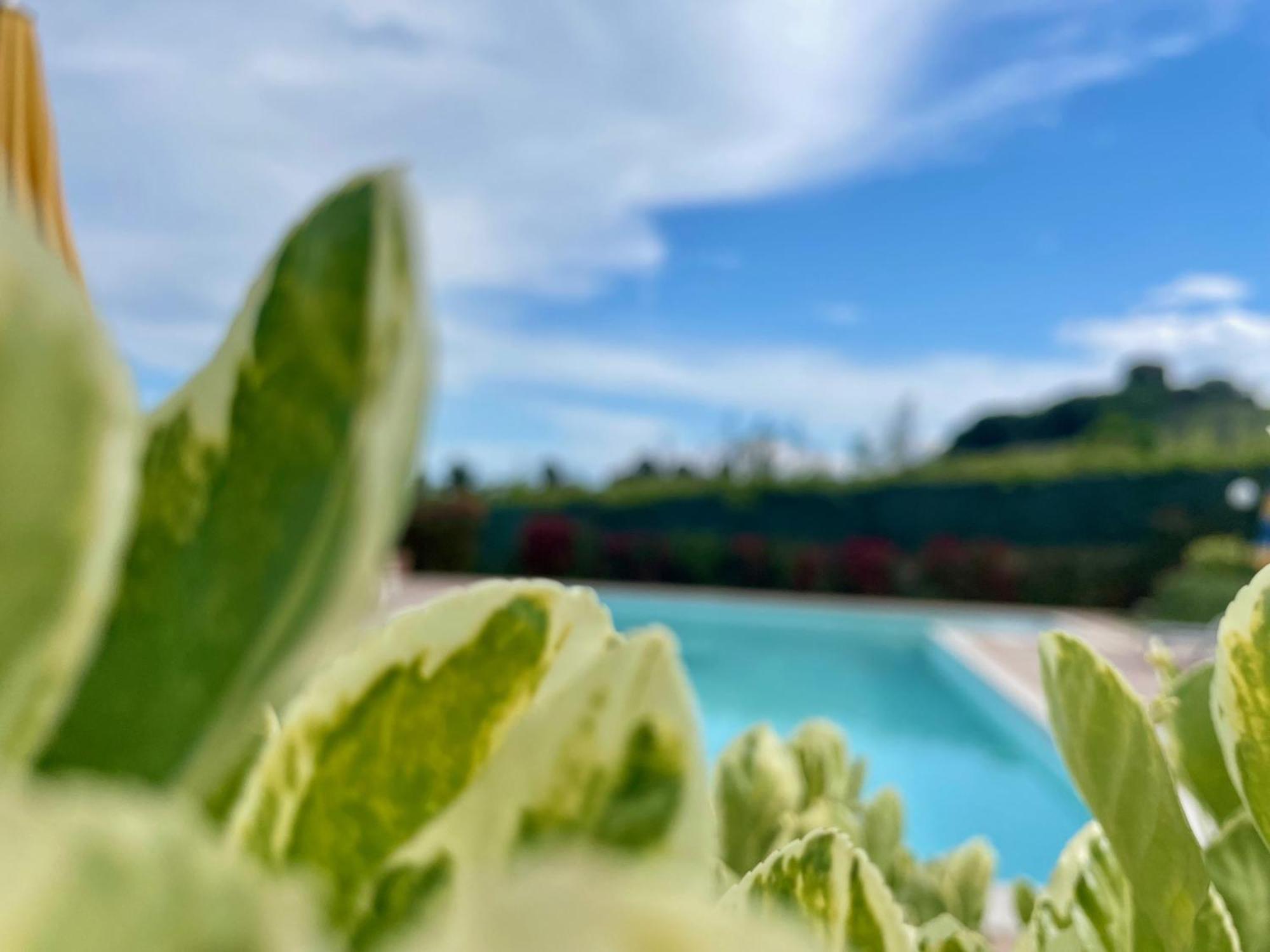 Vigneto - Italian Restaurant & B&B Villa Rosa Di Martinsicuro Esterno foto